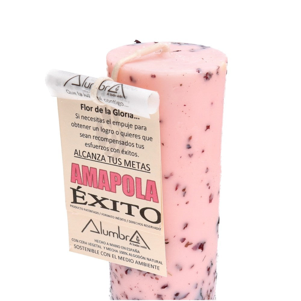 Vela Artesanal Ritualizada Éxito