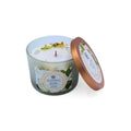 Vela Aromática Gemstone Jazmín 256g